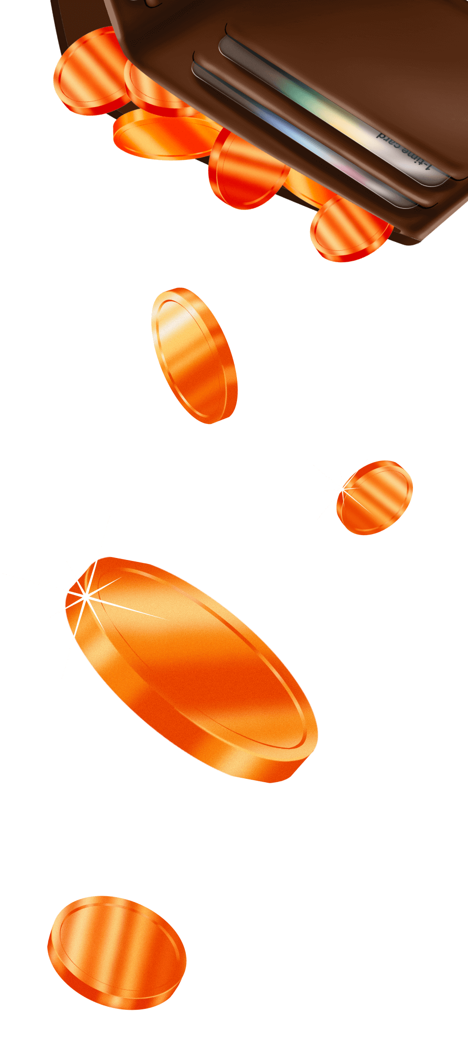 Wallet CashFlowAnywhere T